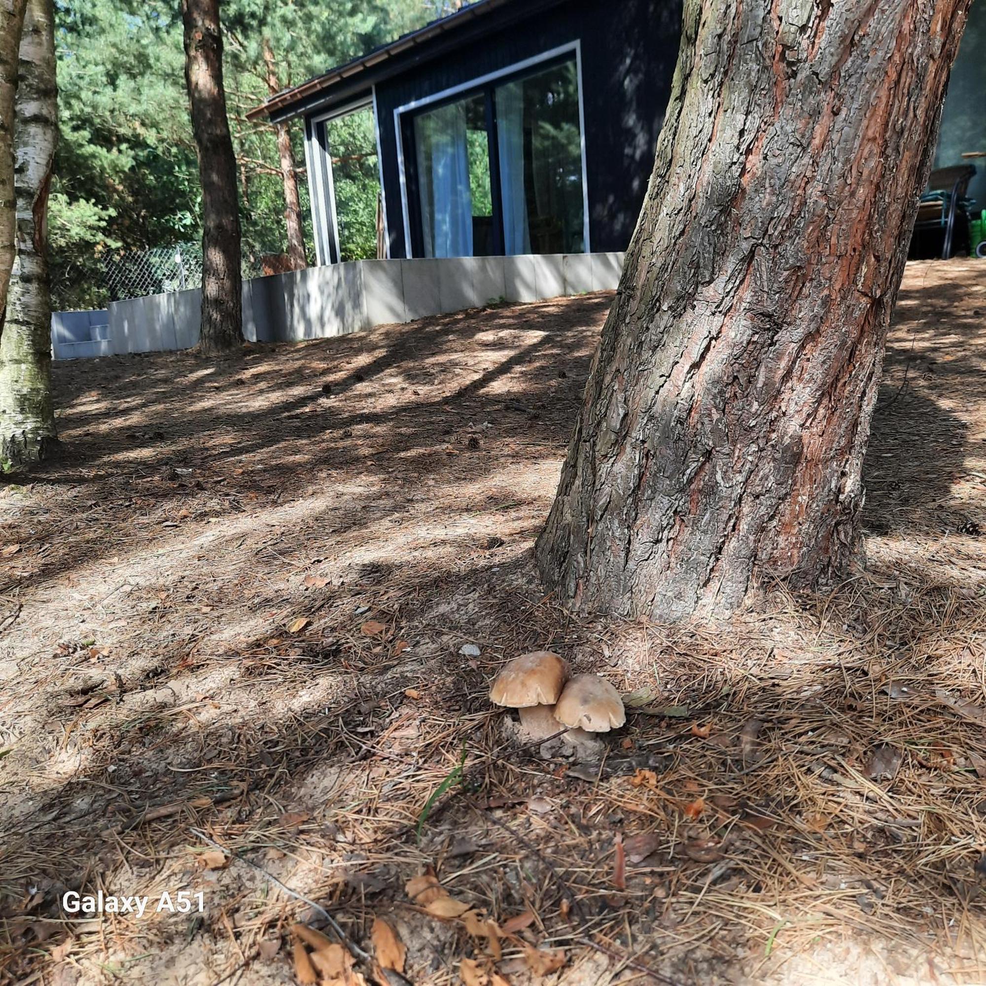 Domek Lesniczowka Gorzewo Dış mekan fotoğraf